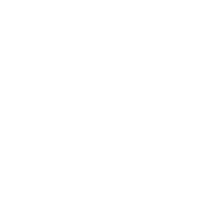 circle icon